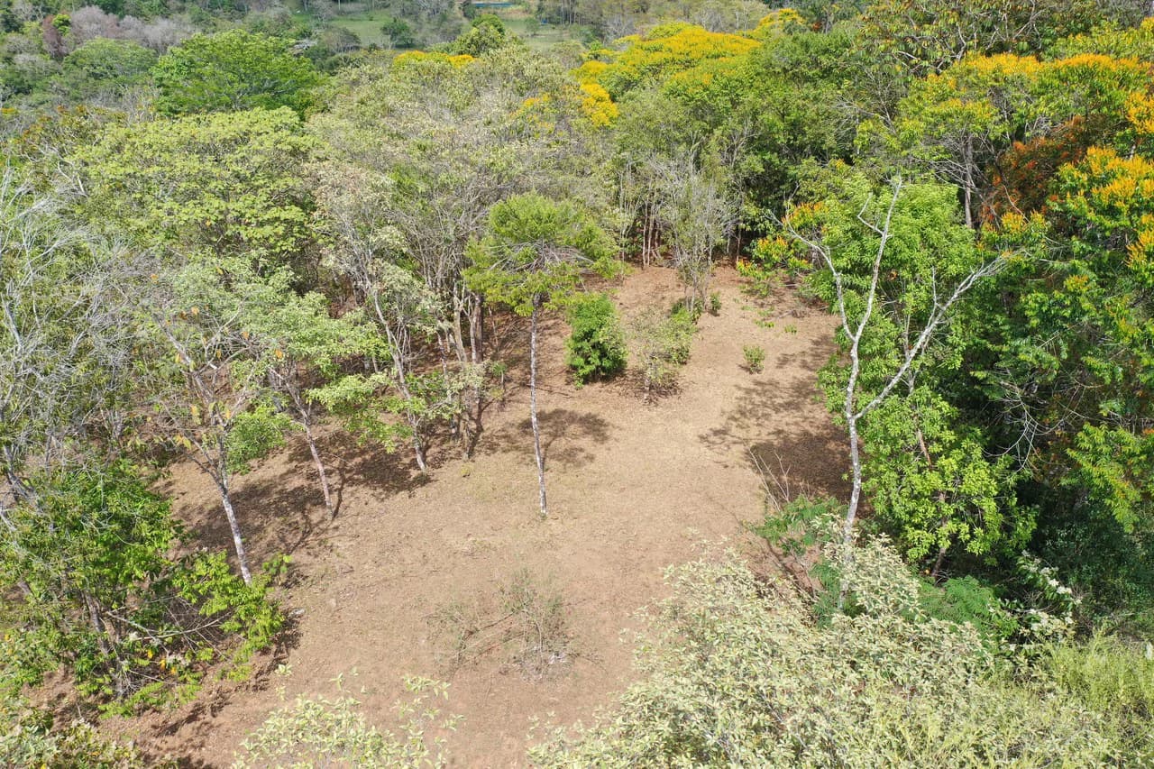 Elevated Two and a Half Acres with Cool Breeze in San Isidro del General - photo 20
