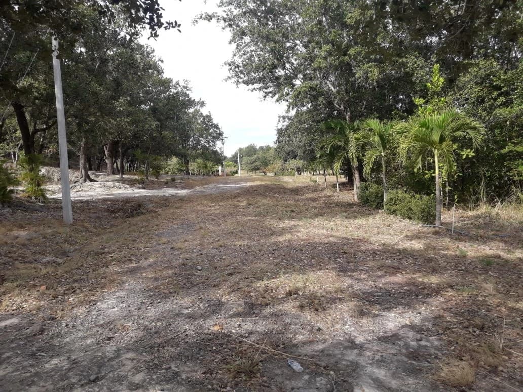 Colorado River Paradise Farm for Sale - Just 10 Minutes from Liberia - photo 5