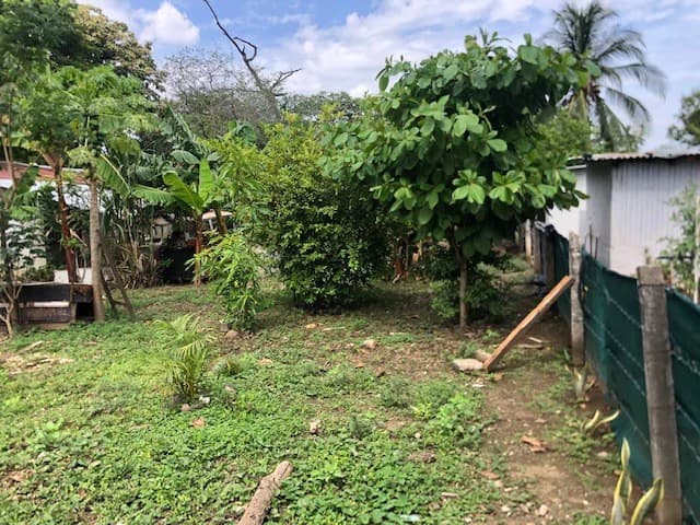 Great Opportunity - Commercial Property in Coco Beach - photo 8