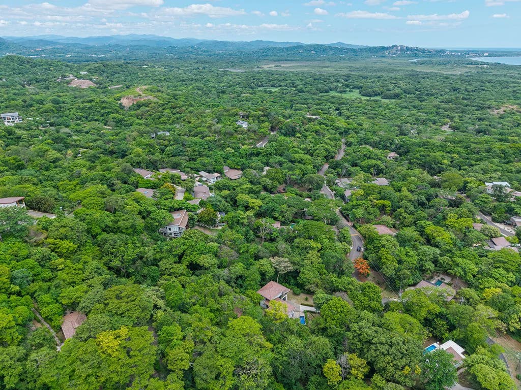 Lot 24 Cara Cara: Exceptional Forest Homesite in Las Ventanas de Playa Grande - photo 8