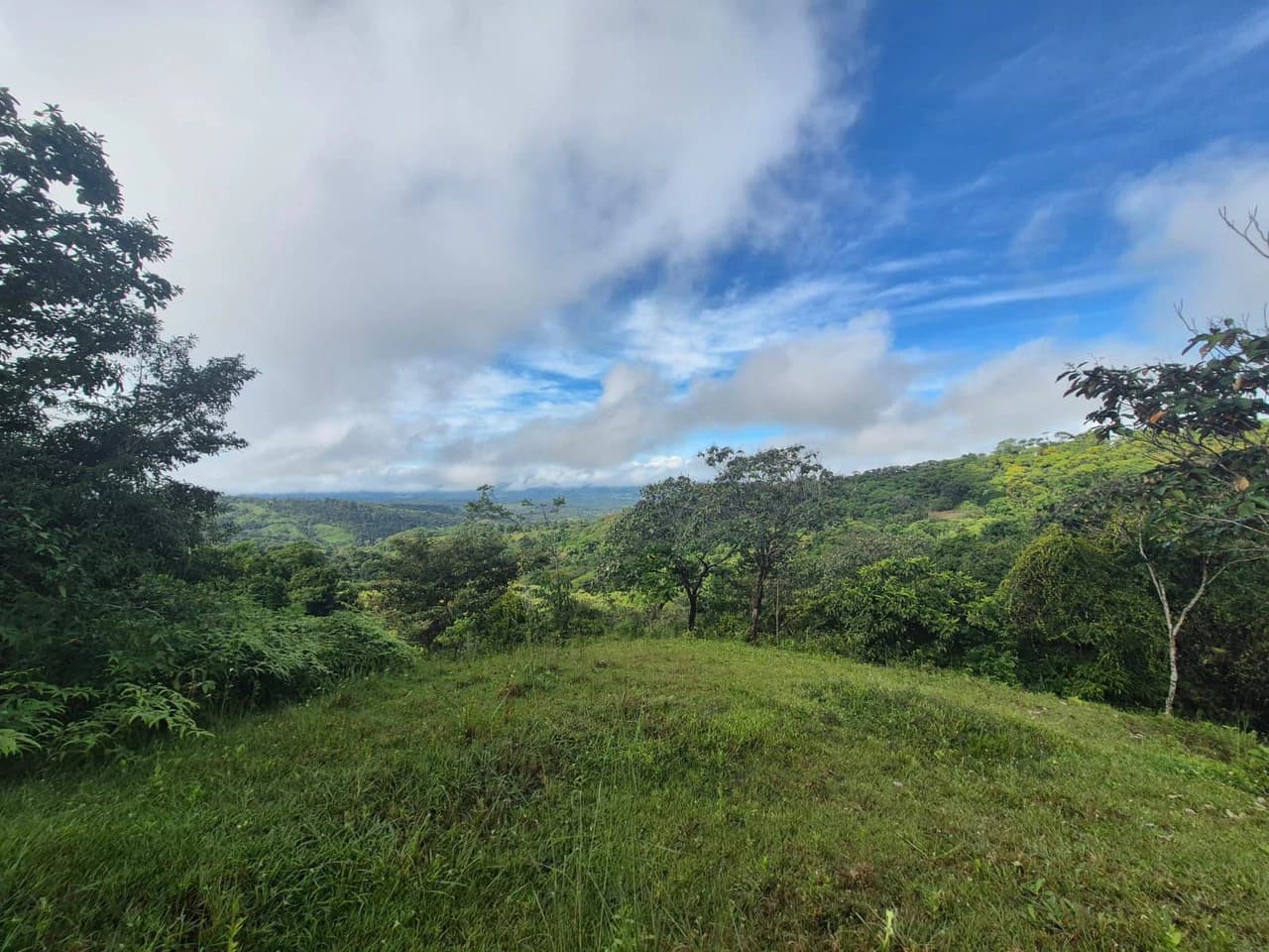 Propiedad en San Blas: Mountain Agricultural Land For Sale in La Linda General Viejo - photo 12