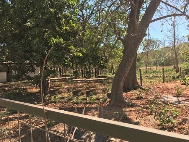 Big Property close to Playa Conchal