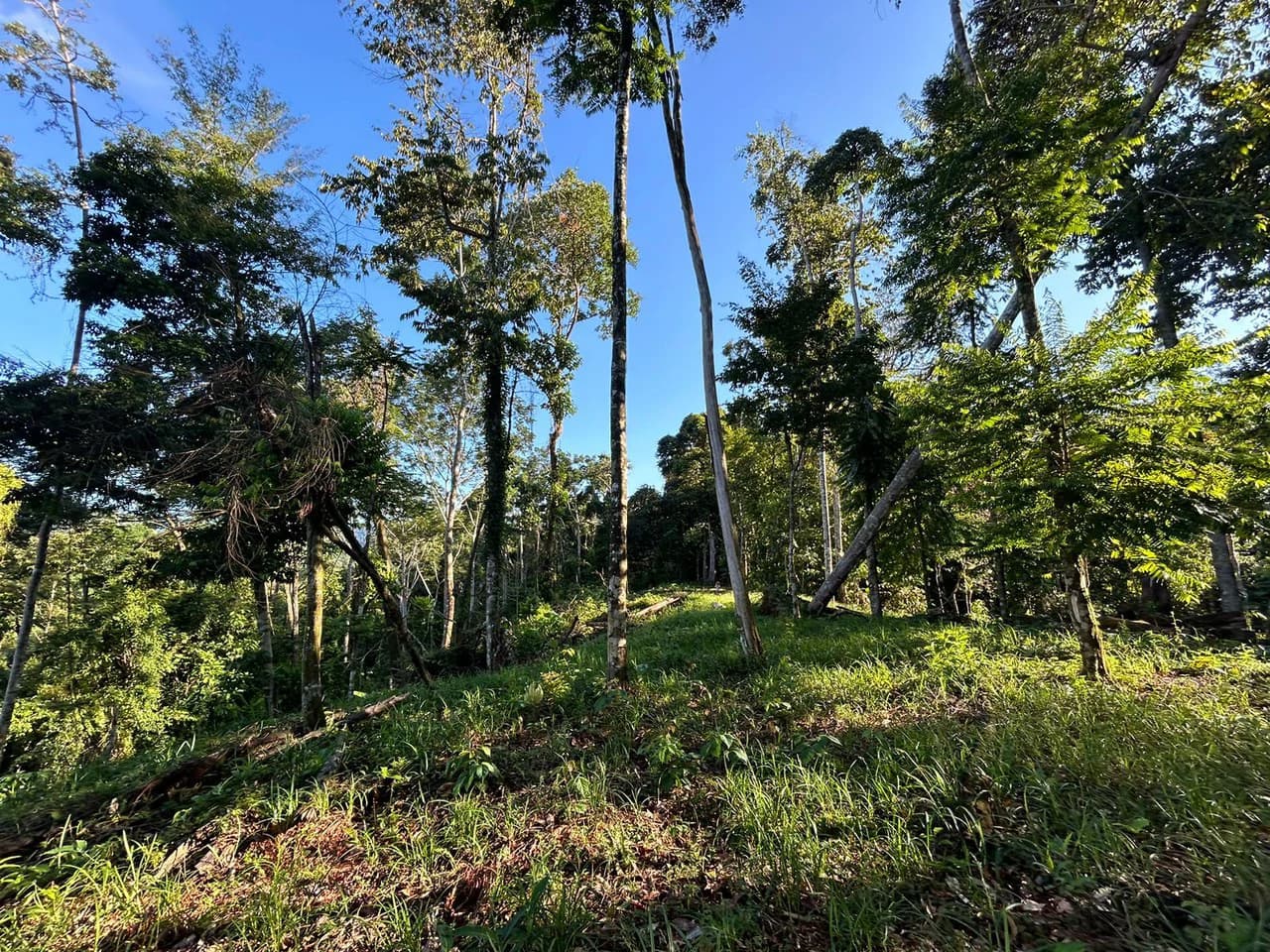 Marvelous Ocean View Parcel in Uvita. - photo 25