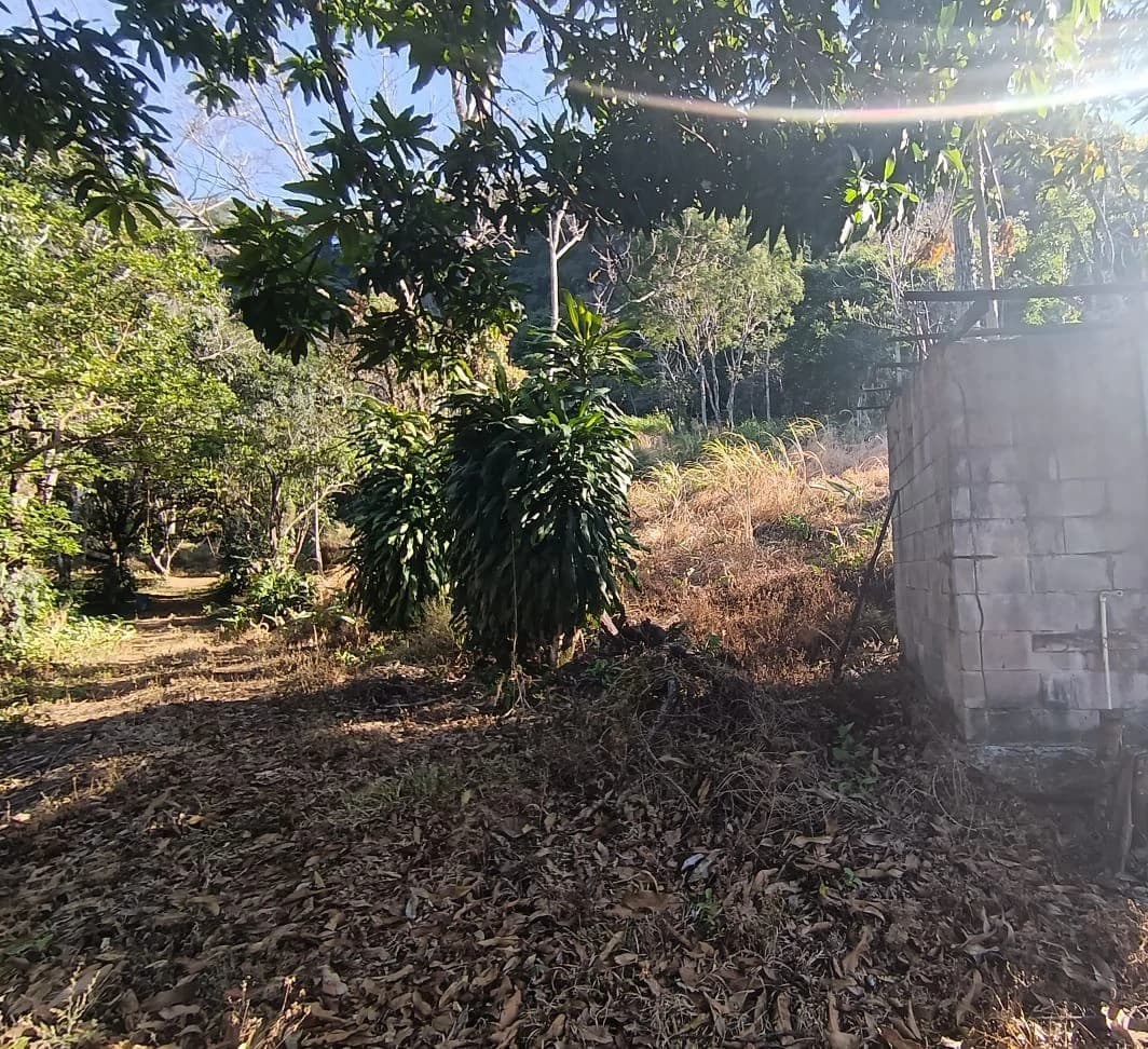 Property for sale in Ciudad Colon San José Costa Rica - photo 11