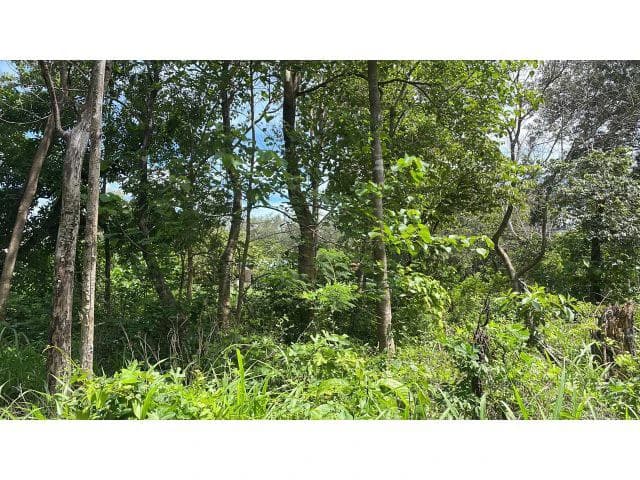 Building potential property for sale in Guadalupe, 5 minutes away from Liberia and 20 from the National Park of Rincon de la Vieja - photo 9