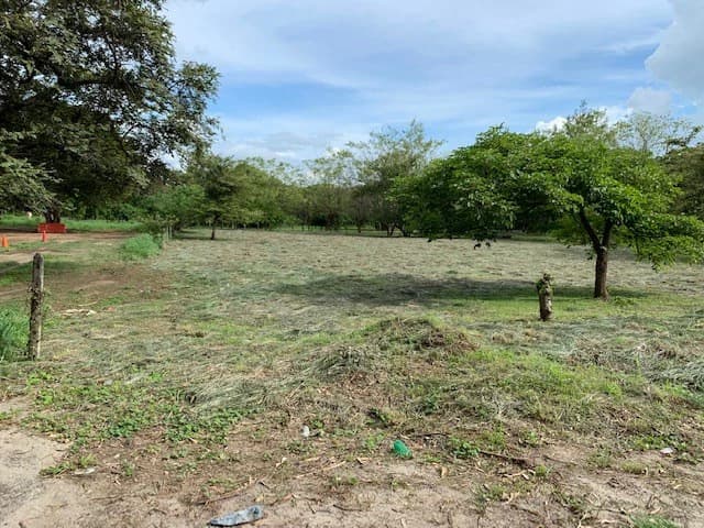 Sale commercial lot in front of the transito Liberia Guanacaste - photo 4