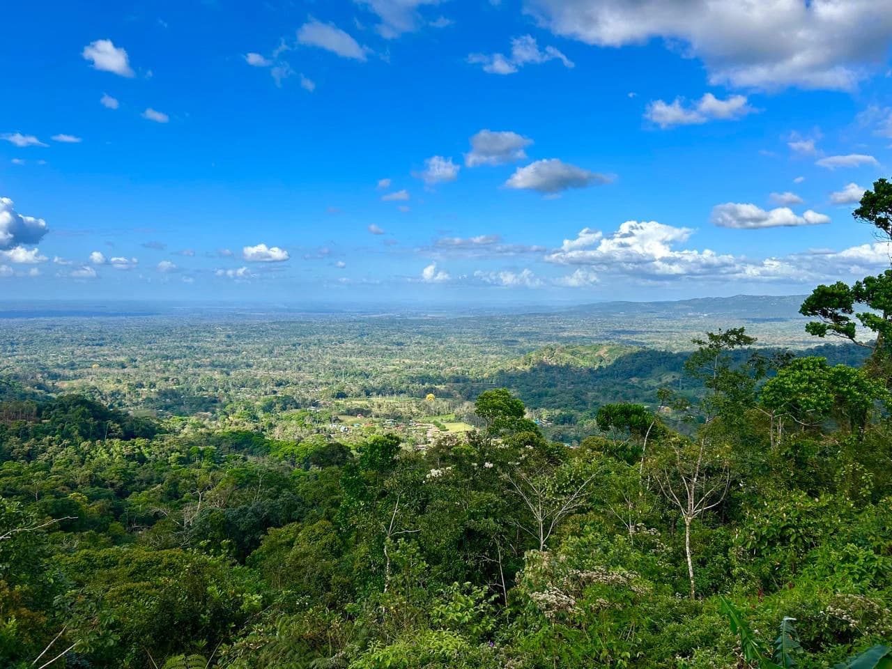 Costa Rica Ecolodge Retreat: TURNKEY COSTA RICA ECOLODGE & WELLNESS RETREAT | 28 ACRES + 5 GUEST CABINS | 45 MINUTES FROM LA FORTUNA - photo 48