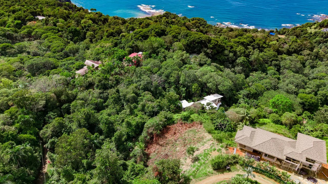 Luxury Ocean View Homesite in Escaleras Playa Dominical - photo 13