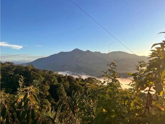 SPECTACULAR ECOLOGICAL MOUNTAIN FARM IN BIJAGUAL DE TURRUBARES - photo 7