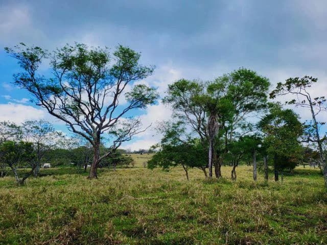 Charming property for sale in Nueva Guatemala with stunning views of the Tenorio Volcano and the beautiful green valleys