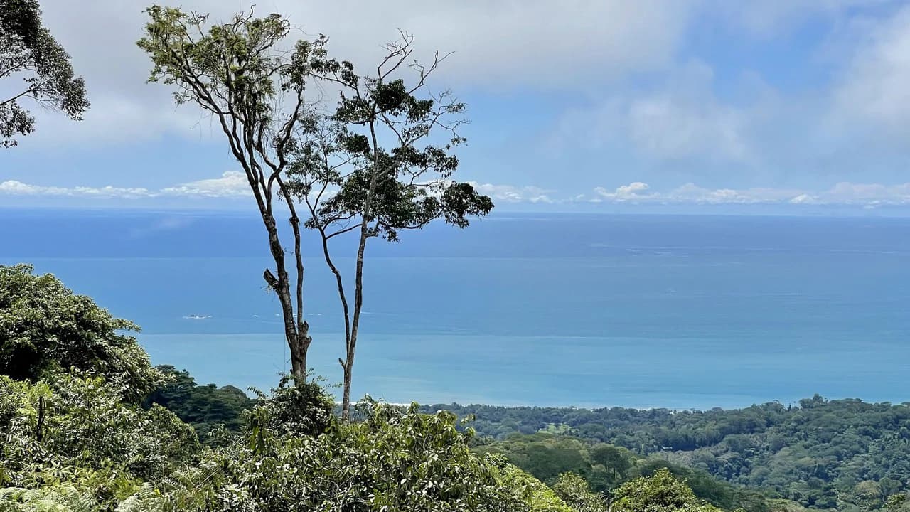 Los Nenes: Mountain Home Construction Site For Sale in Uvita - photo 4