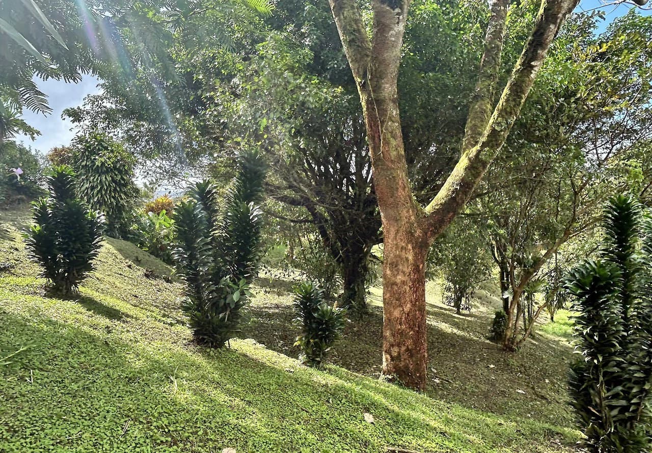 VILLA PIETRA: CAPTIVATING LAKE ARENAL ESTATE WITH GUEST CASITA - photo 39
