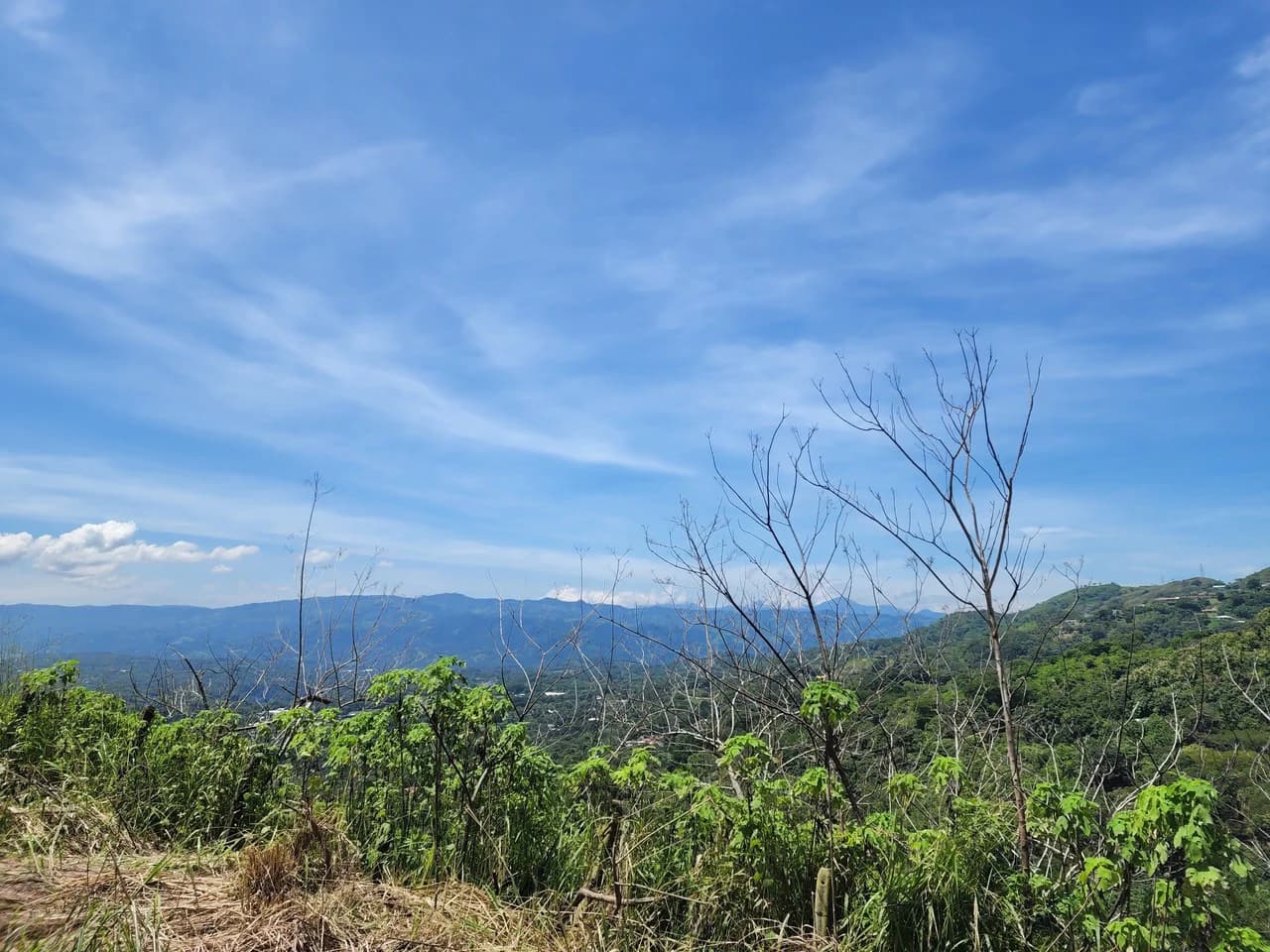 Countryside Home Construction Site For Sale in Atenas - photo 12
