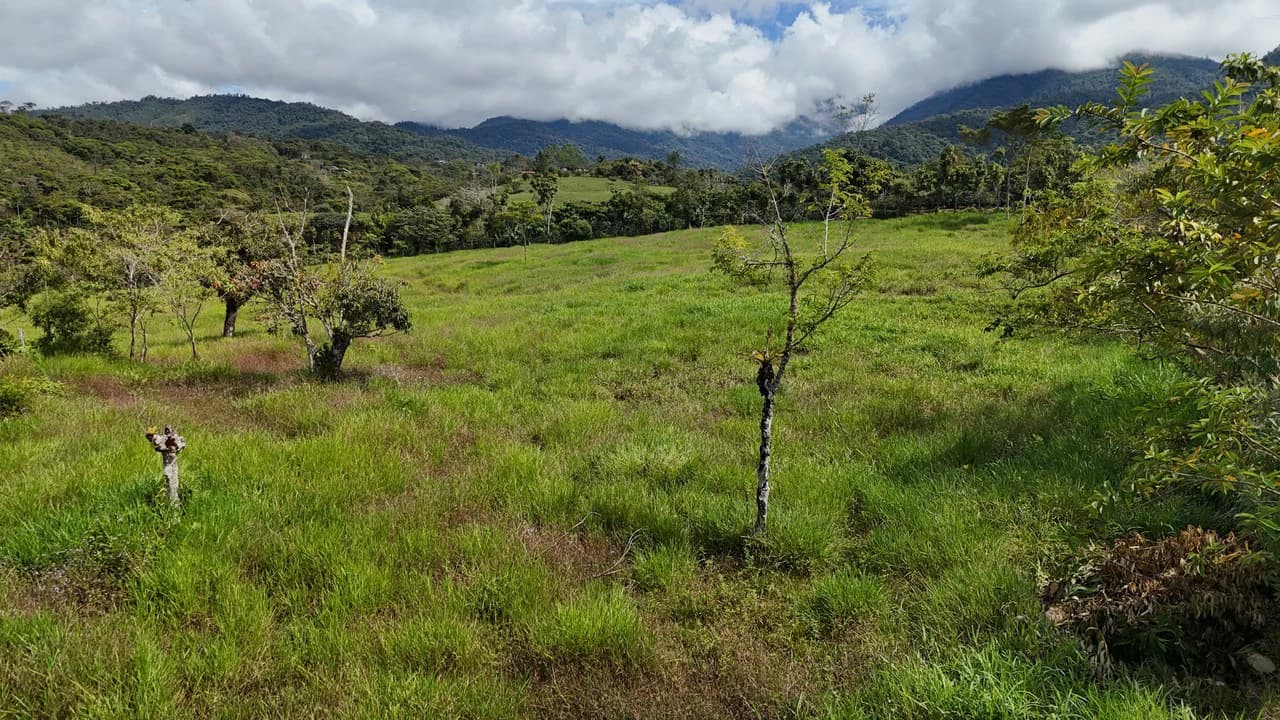 Countryside Home Construction Site For Sale in Santa Elena - photo 4