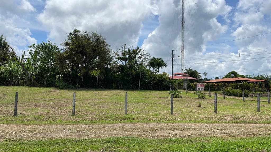 Mountain Agricultural Land For Sale in Bijagua - photo 46