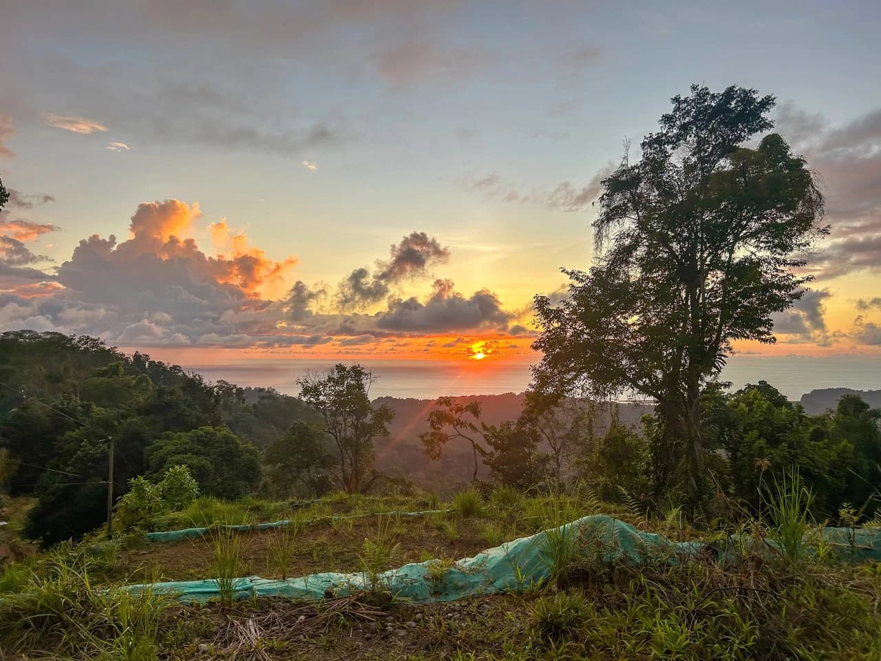 Year-Round Sunset Views | 3 Connected Build-Ready Lots - photo 3