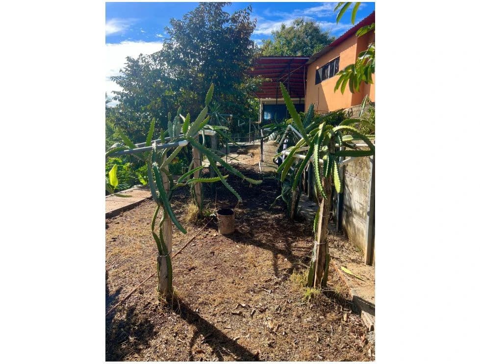 Property for Sale in Cuarros de Lagunillas, Garabito | 2,044 m² with 2 Bedrooms - photo 6