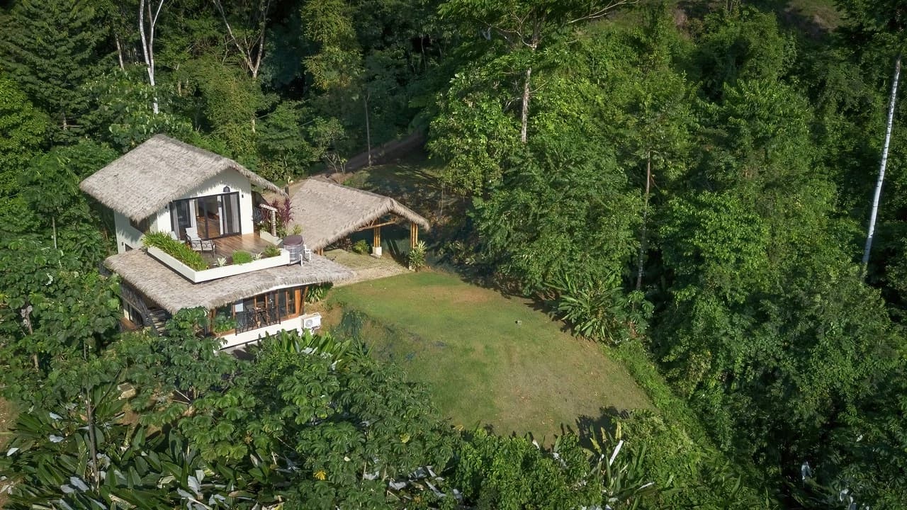 The Best Ocean View Home in Dominical |3 br, 3 ba, 2.2 Acres - photo 5