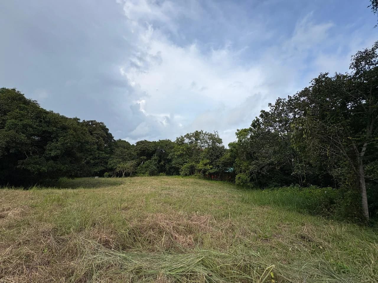 6000m2 Land Near Montezuma and Santa Teresa: ixed use, commercial and residential - photo 5