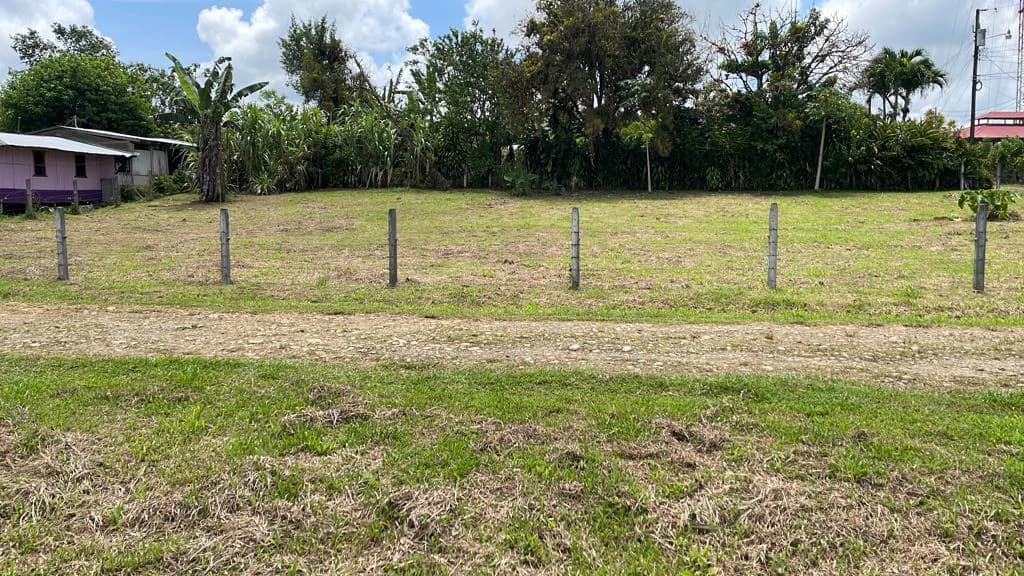 Mountain Agricultural Land For Sale in Bijagua - photo 43