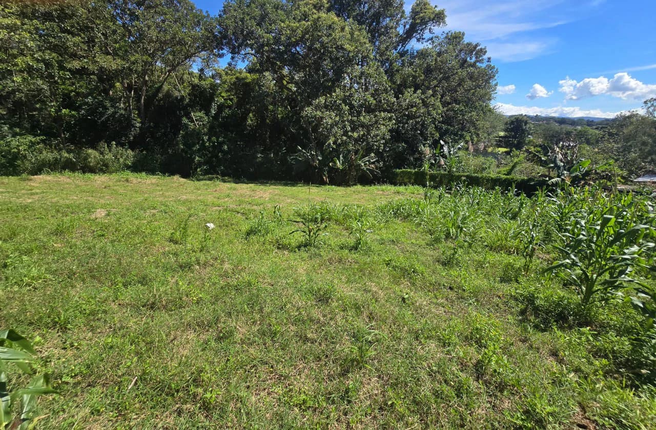 Land for sale in Tambor, Alajuela - photo 11