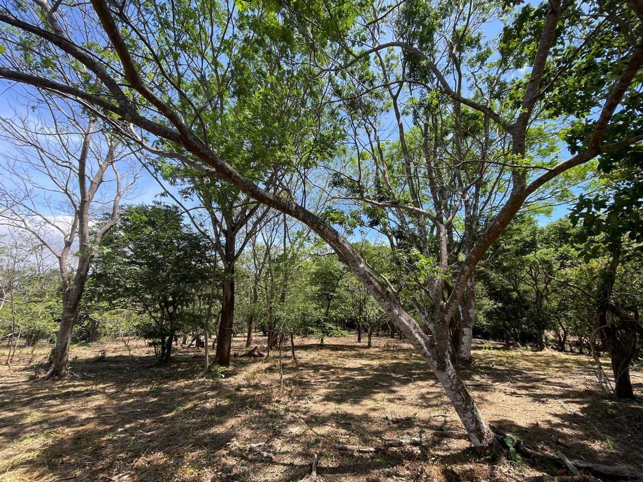 Ocean view property for sale Rodeo Ciudad Colon San Jose Costa Rica - photo 17