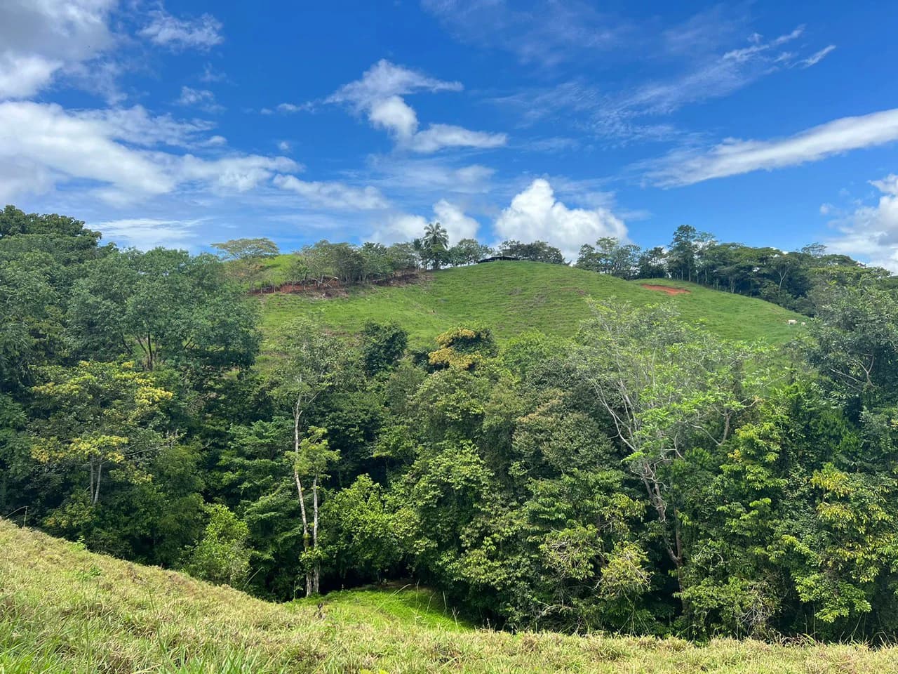 47 ACRES – Beautiful Mountain View Farm With Many Water Sources and Many Building Areas!!!! - photo 17