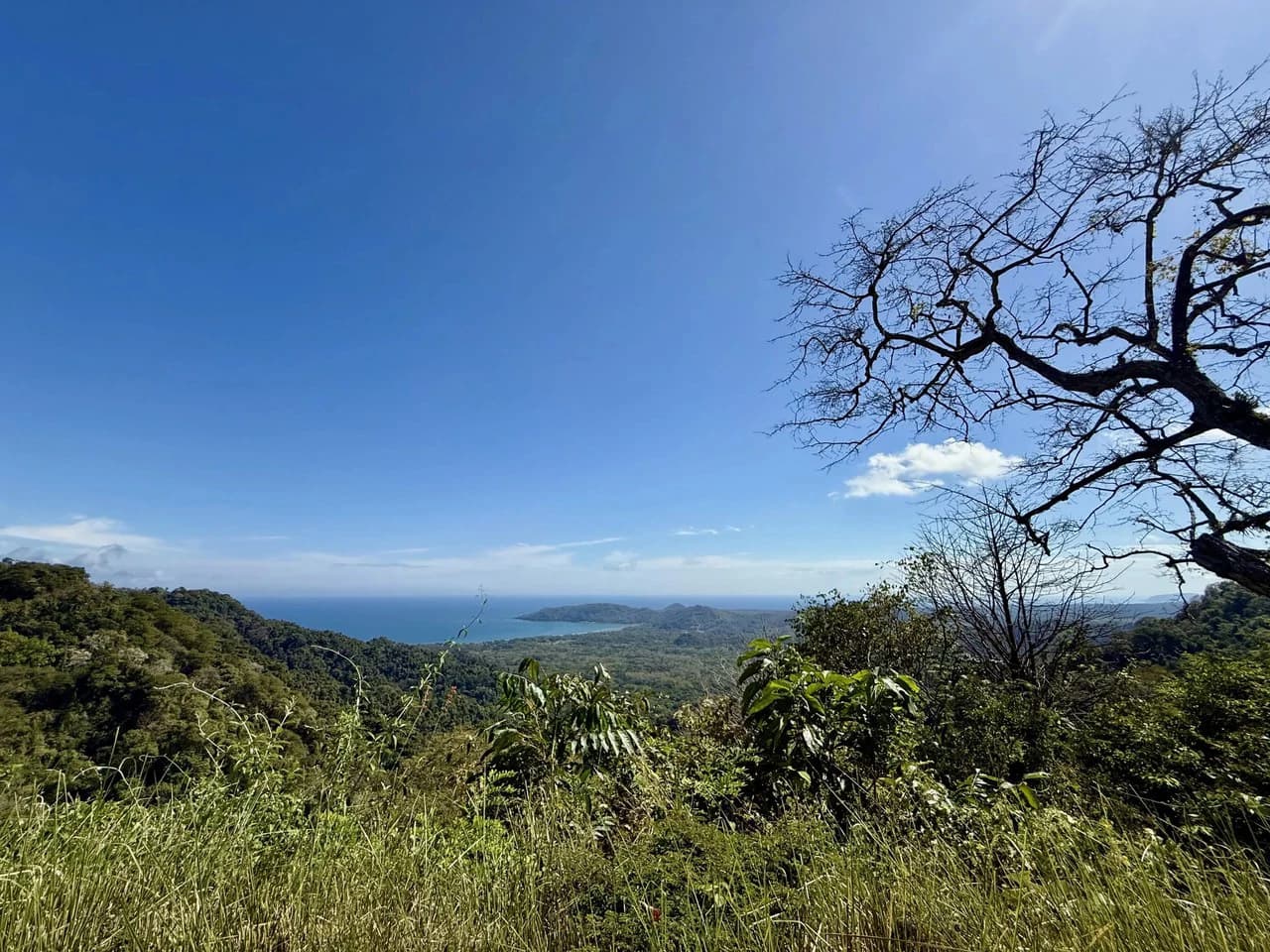Casa Miramar: $1,000,000 Million Buys you your very own Private Mountain Paradise with Ocean View ! - photo 27
