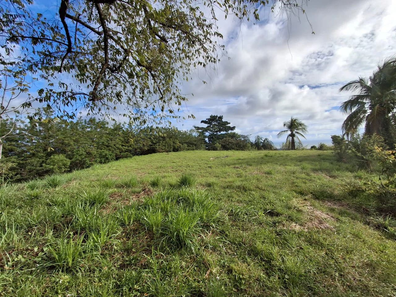 Hilltop Ocean Paradise: 10 ha (103,600m2) for private compound or development - photo 6