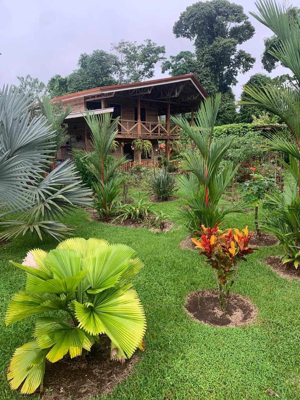Charming Country Farmhouse with Profitable Ornamental Plant Farm: Great location near La Fortuna and Ciudad Quesada - photo 6