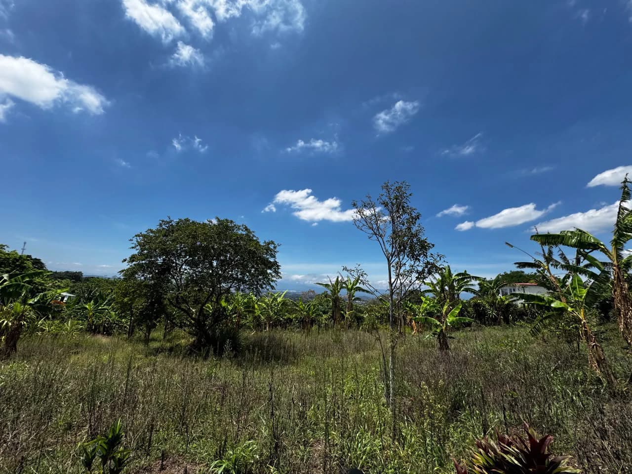 Finca with Views!: It's Perfect for You! - photo 1