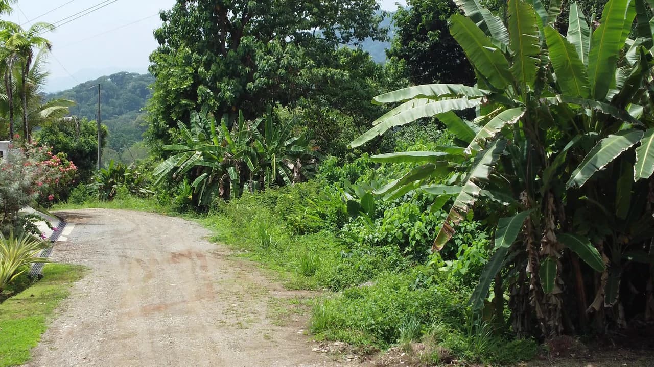 Ojochal - 1 Acre Ready To Build Jungle Lot, Ocean Breezes in Wildlife Corridore - photo 13