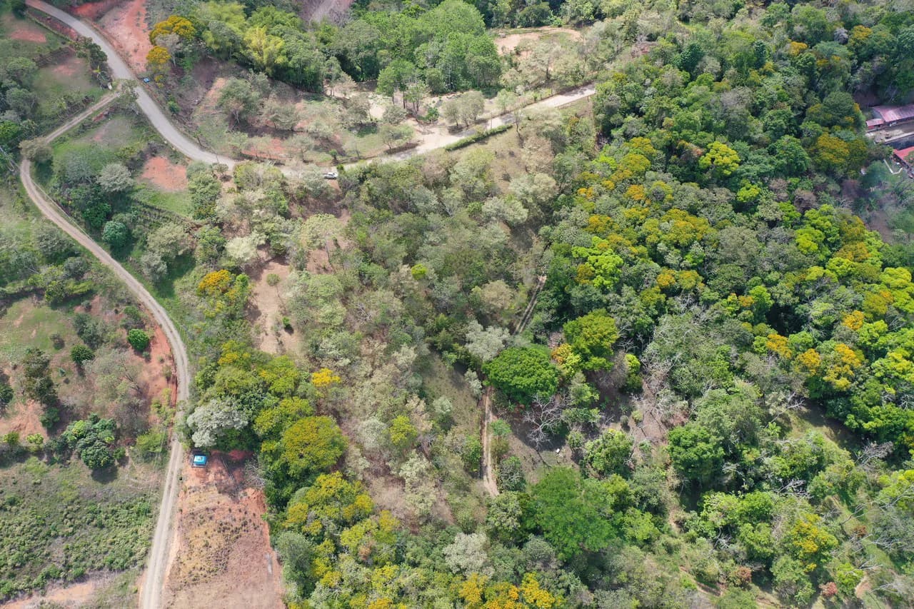 Elevated Two and a Half Acres with Cool Breeze in San Isidro del General - photo 14