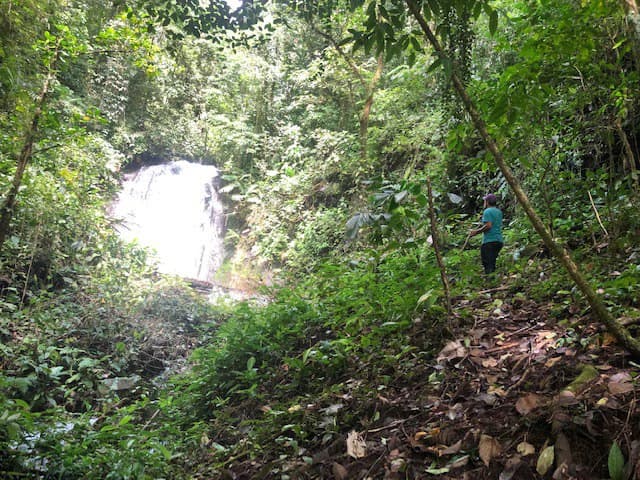 Hot and Cold Thermal Springs for Sale – Beautiful Property in Dos Ríos, Alajuela with Excellent Commercial Potential - photo 60