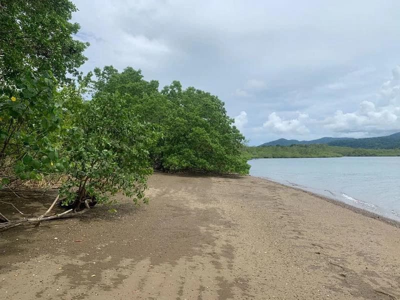 Biological Private Reserve OSA PULCRA - photo 18