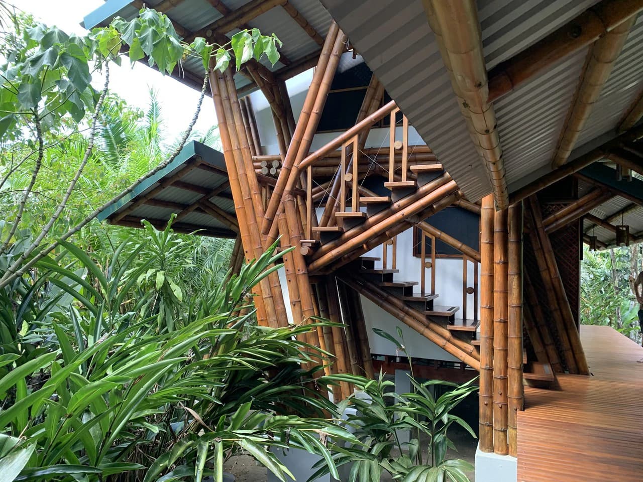 Jungle Beach Exotic Retreat - photo 16