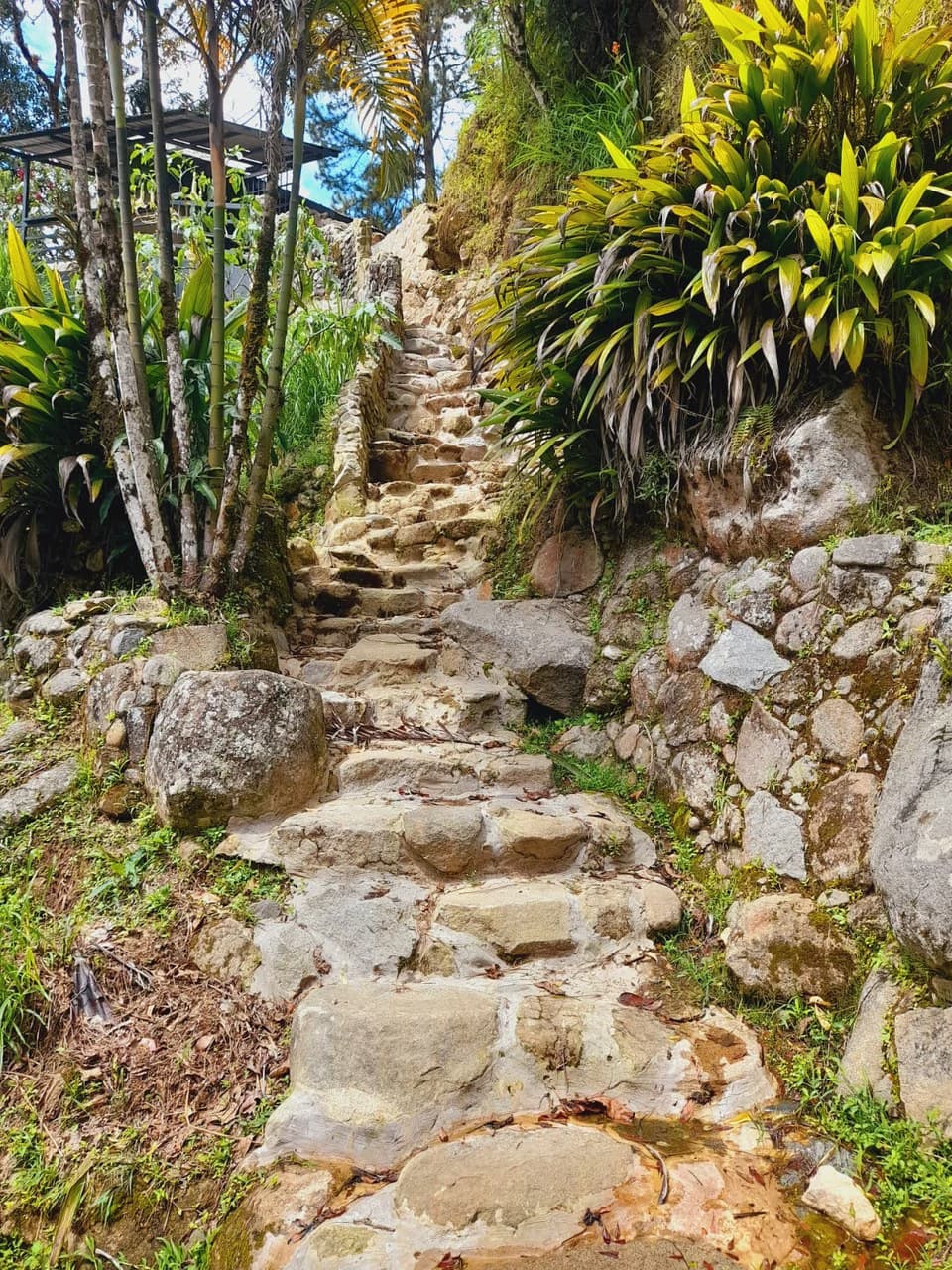 Mountain Retreat with River Views in San Gerardo de Rivas - photo 4