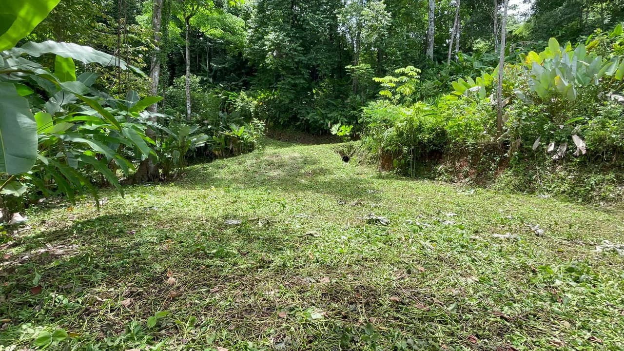 Eduardo Lee 17 Acres: Mountain Agricultural Land For Sale in Bejuco - photo 11