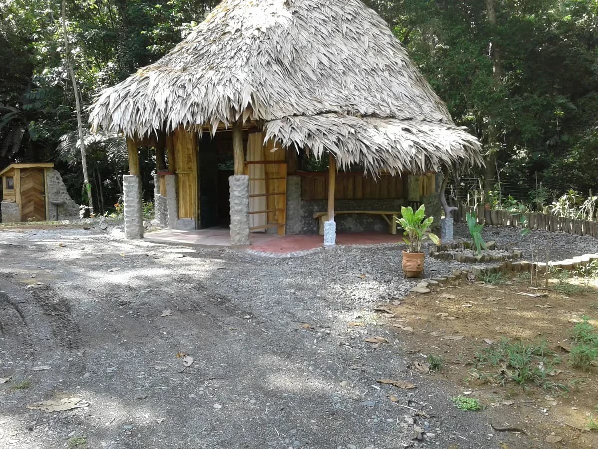 ID 706: Lot 1 - 6,618m² Rustic Retreat Center with Private Waterfall - photo 11
