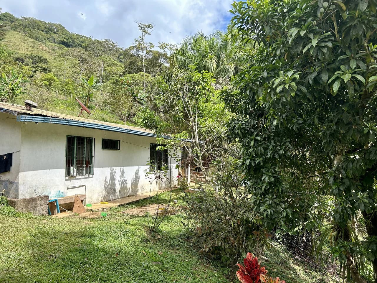 Finca Ceibo Memo: Mountain Home Construction Site For Sale in San Isidro del General - photo 10