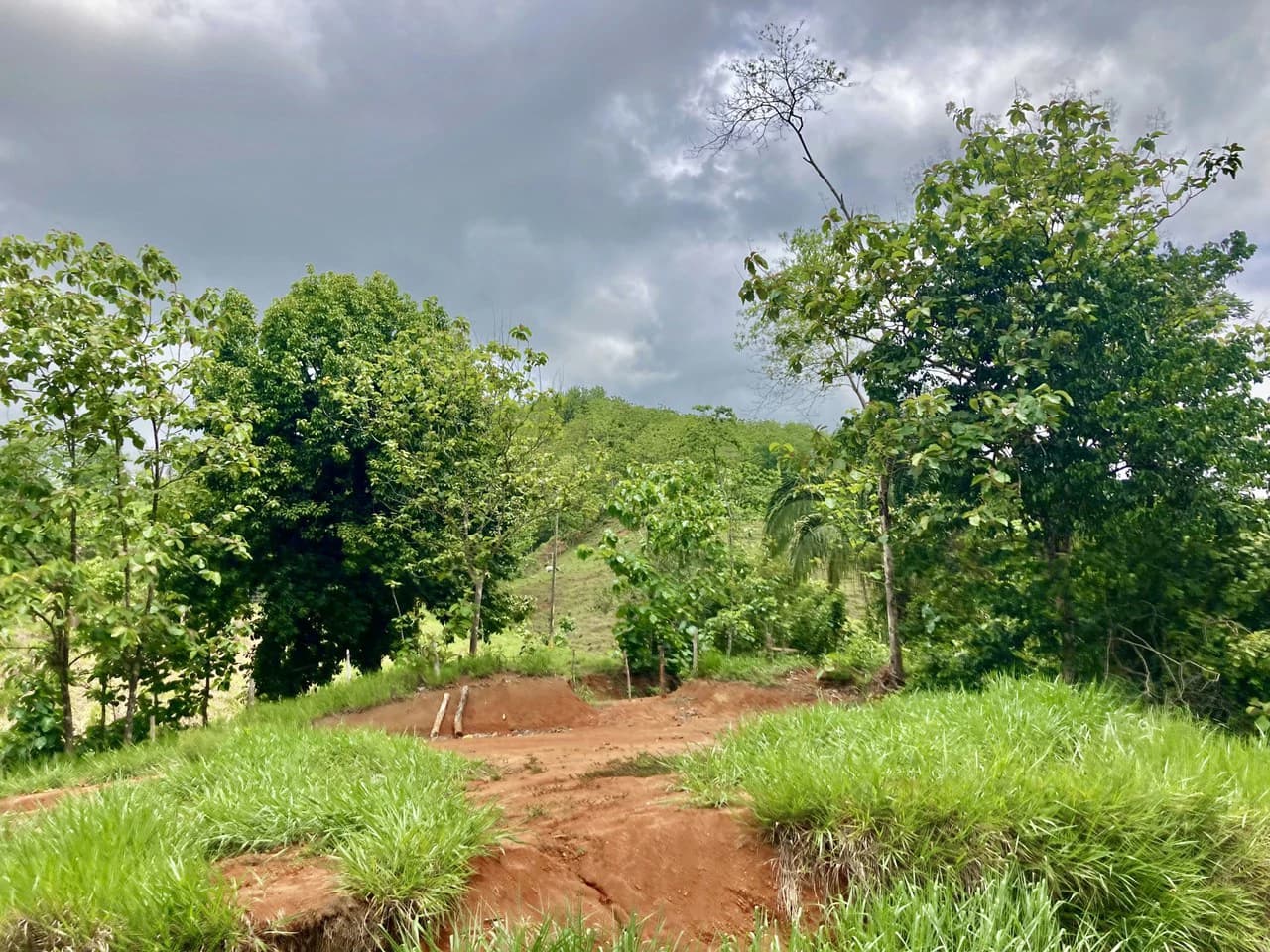 Frog Desing House: Property for Sale in Parrita, Costa Rica - photo 29