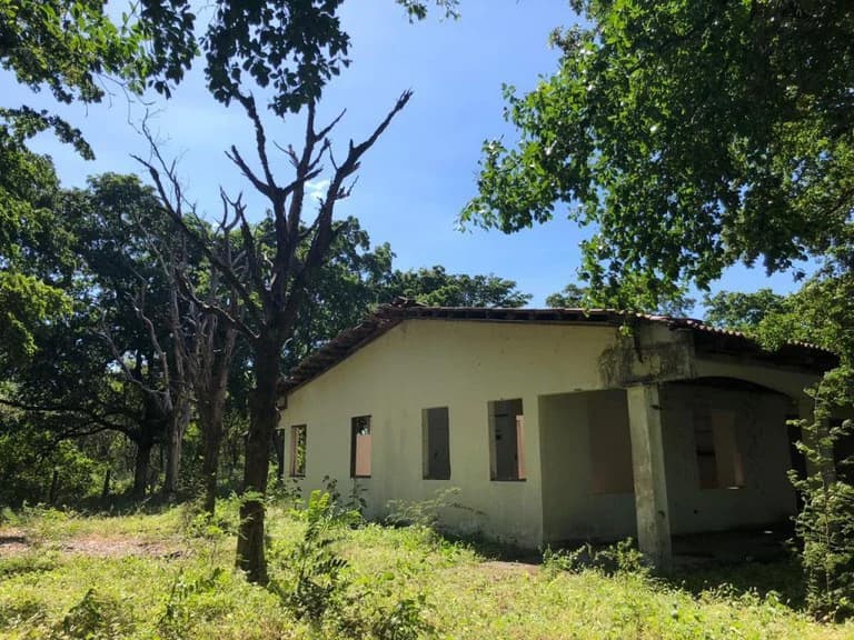 HIGHWAY TO HEAVEN: Commercial potential ! Large property on the Panamerican Highway. - photo 5