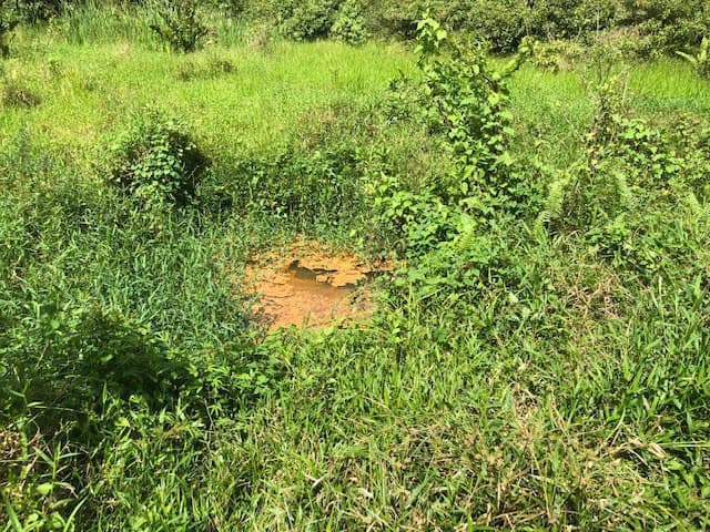 Hot and Cold Thermal Springs for Sale – Beautiful Property in Dos Ríos, Alajuela with Excellent Commercial Potential - photo 40