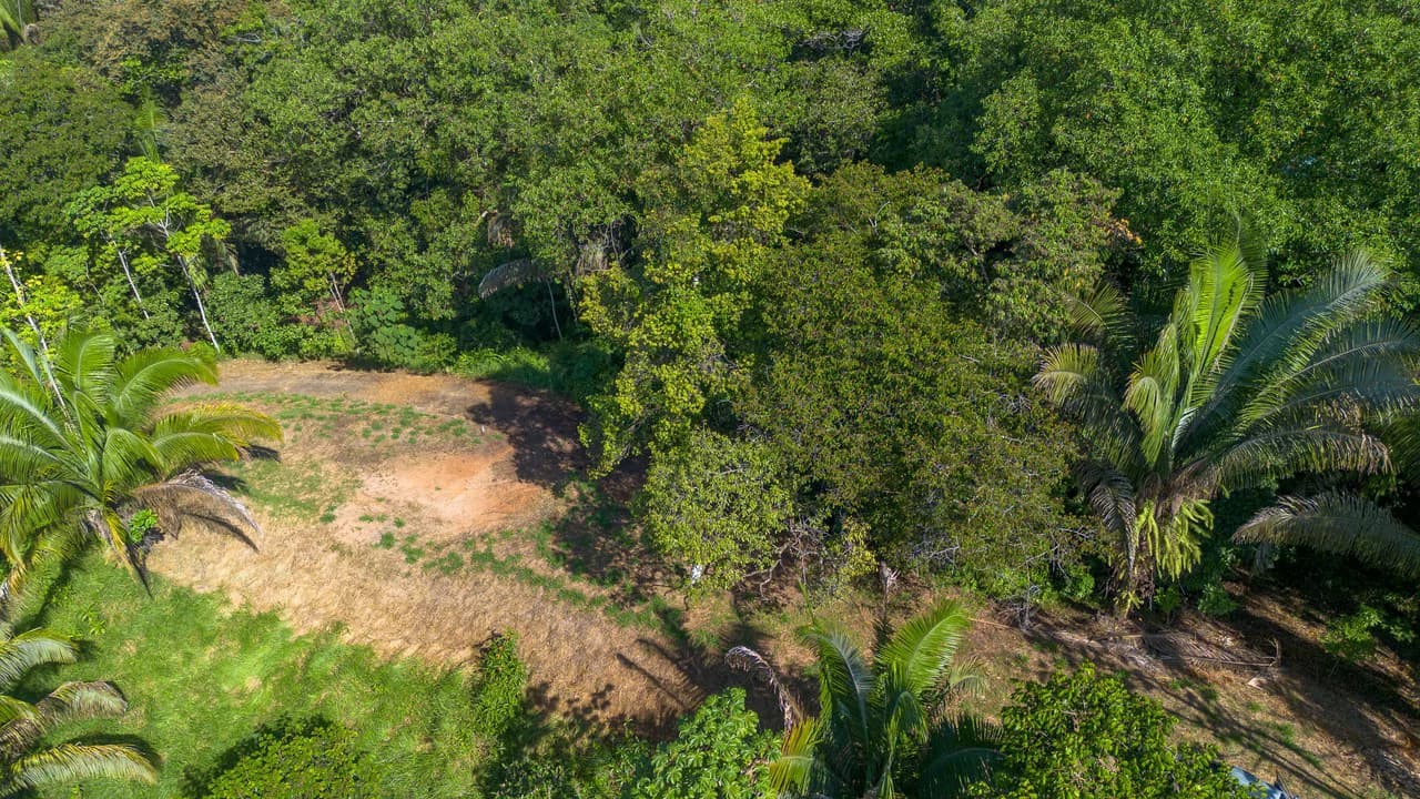 Surfers Paradise! Two Usable Lots for Building in Playa Hermosa Near Uvita!!: Mountain Home Construction Site For Sale in Playa Hermosa - photo 6