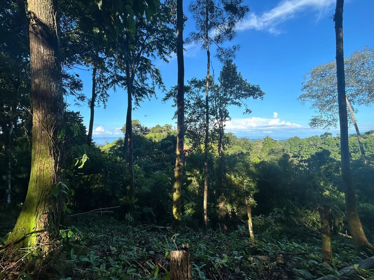 Marvelous Ocean View Parcel in Uvita. - photo 19