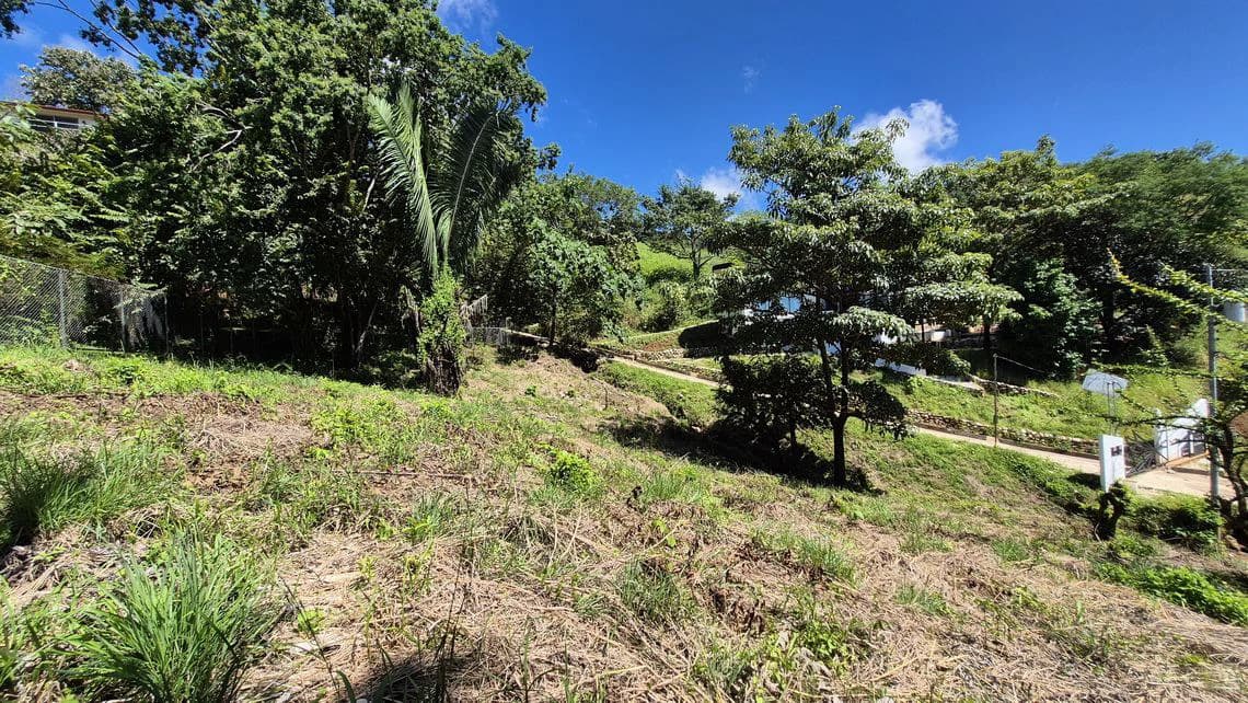 LOTE ALTO: Last Affordable 857 m² Lot in Peaceful Santo Domingo Village, Just 10 Minutes from Samara Beach - photo 5