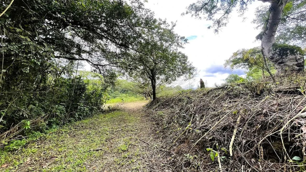LAND FOR SALE IN SAN MIGUEL, NARANJO - photo 4