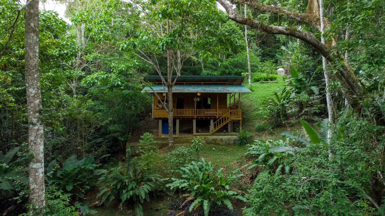 4 Bd/3 Ba - Two Caribbean Homes w/ Pool, on 5000m²: Dual Home Jungle Property in Punta Uva
