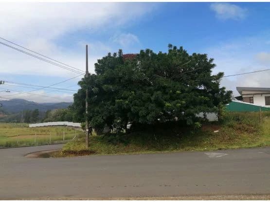 Home Construction Site For Sale in Cartago - photo 2