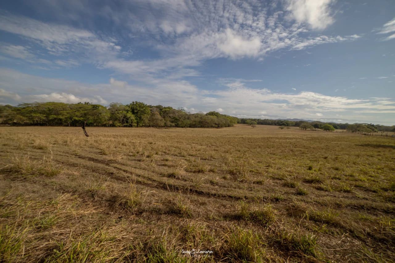 Land for Sale Lepanto Puntarenas overlooking the Gulf Costa Rica - photo 16